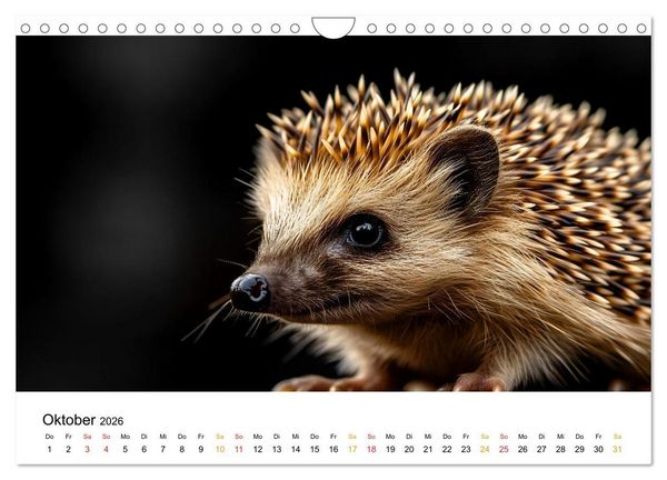 Produktbild: Wilde Heimat - Tiere unserer Natur (Wandkalender 2026 DIN A4 quer), CALVENDO Monatskalender