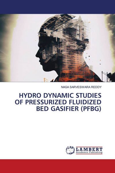 Produktbild: Hydro Dynamic Studies Of Pressurized Fluidized Bed Gasifier (pfbg)