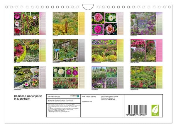 Produktbild: Bl&uuml;hende Gartenparks in Mannheim (Wandkalender 2026 DIN A4 quer), CALVENDO Monatskalender