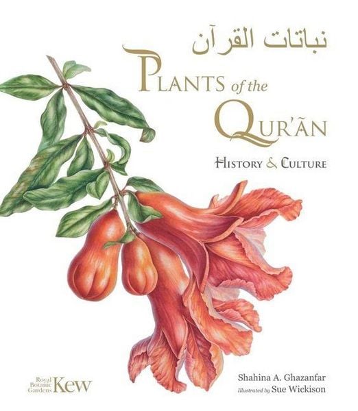 Produktbild: Plants of the Quran