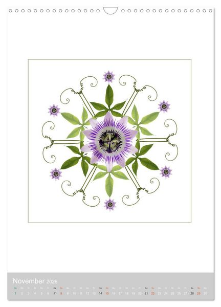 Produktbild: Pflanzen - Mandalas aus Bl&uuml;ten und Bl&auml;ttern (Wandkalender 2026 DIN A3 hoch), CALVENDO Monatskalender