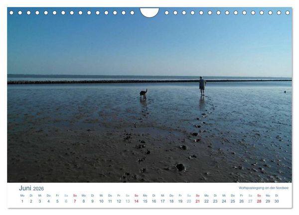 Produktbild: Ebbe und Watt 2026. Impressionen von der Nordseek&uuml;ste (Wandkalender 2026 DIN A4 quer), CALVENDO Monatskalender