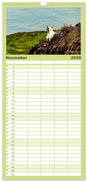 Produktbild: Familienplaner 2026 - Wir sehen uns in Irland - Ring of Beara und Ring of Kerry mit 5 Spalten (Wandkalender, 21 x 45 cm) CALVENDO