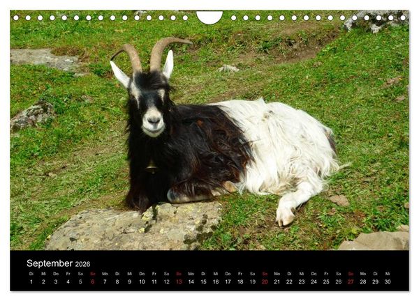Produktbild: Die Welt der Berge (Wandkalender 2026 DIN A4 quer), CALVENDO Monatskalender