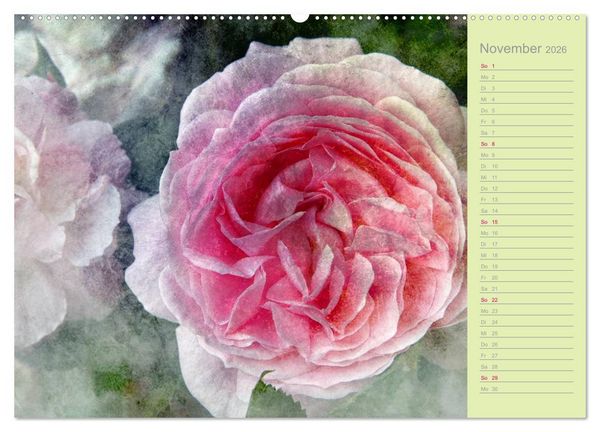 Produktbild: Romantische Rosen (hochwertiger Premium Wandkalender 2026 DIN A2 quer), Kunstdruck in Hochglanz
