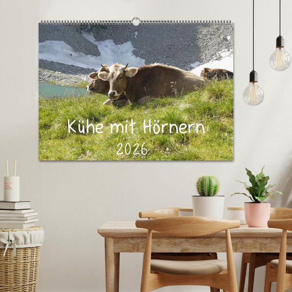 Produktbild: K&uuml;he mit H&ouml;rnern (Wandkalender 2026 DIN A2 quer), CALVENDO Monatskalender