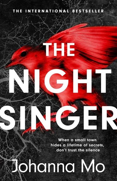 Produktbild: The Night Singer