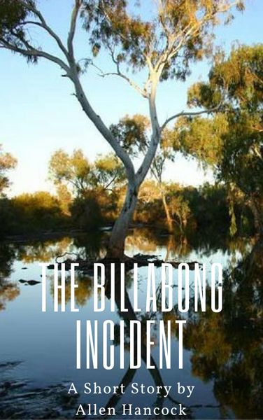 Produktbild: The Billabong Incident