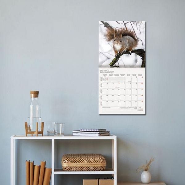 Produktbild: Eichh&ouml;rnchen 2027