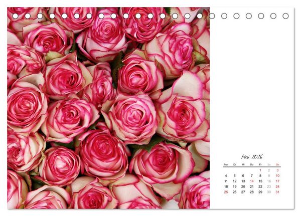 Produktbild: Die vielen Gesichter der Rosen (Tischkalender 2026 DIN A5 quer), CALVENDO Monatskalender