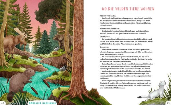 Produktbild: Wir sind die Tiere des Waldes