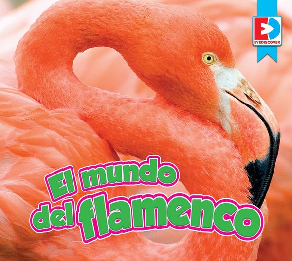 Produktbild: El mundo del flamenco