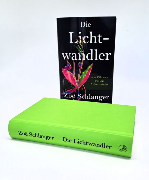 Produktbild: Die Lichtwandler