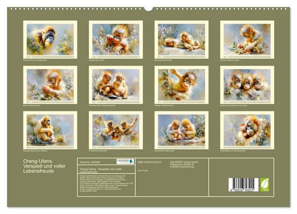 Produktbild: Orang-Utans. Verspielt und voller Lebensfreude (hochwertiger Premium Wandkalender 2027 DIN A2 quer), Kunstdruck in Hochglanz