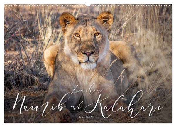 Produktbild: Zwischen Namib und Kalahari (Wandkalender 2026 DIN A2 quer), CALVENDO Monatskalender