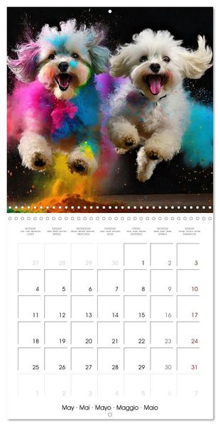 Produktbild: Dynamic Duo - Two Paws, One Leap (Wall Calendar 2026 12 &times; 12 Inch) CALVENDO 12 Month Wall Calendar
