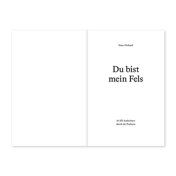 Produktbild: Du bist mein Fels