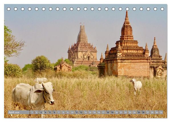 Produktbild: Als Backpacker um die Welt (Tischkalender 2026 DIN A5 quer), CALVENDO Monatskalender