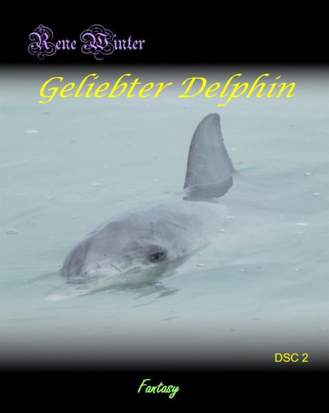 Produktbild: Geliebter Delphin