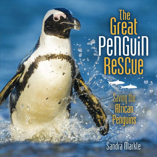 Produktbild: The Great Penguin Rescue
