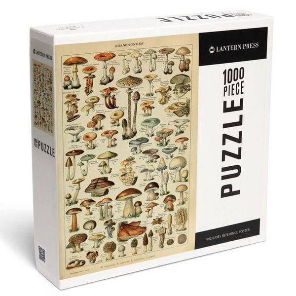 Produktbild: Mushrooms - C - Vintage Bookplate - Adolphe Millot Artwork - 1000 Piece Puzzle