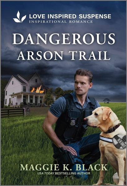 Produktbild: Dangerous Arson Trail