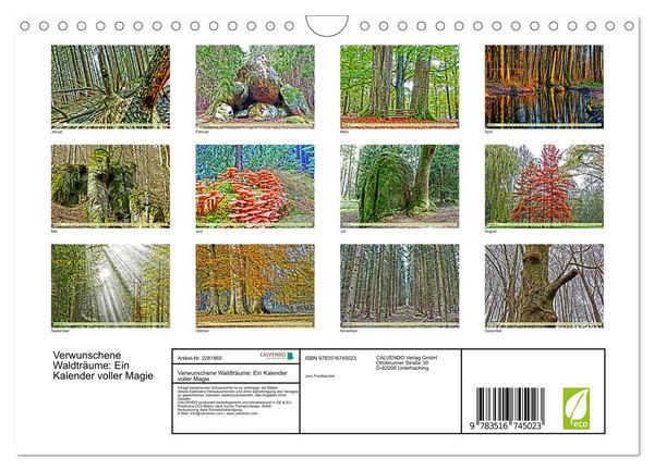 Produktbild: Verwunschene Waldtr&auml;ume: Ein Kalender voller Magie (Wandkalender 2026 DIN A4 quer), CALVENDO Monatskalender