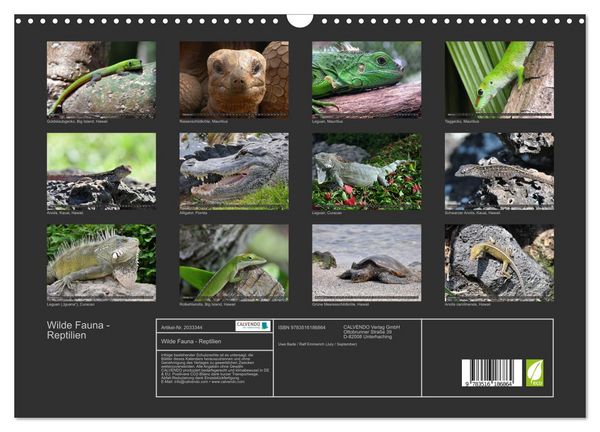 Produktbild: Wilde Fauna - Reptilien (Wandkalender 2026 DIN A3 quer), CALVENDO Monatskalender