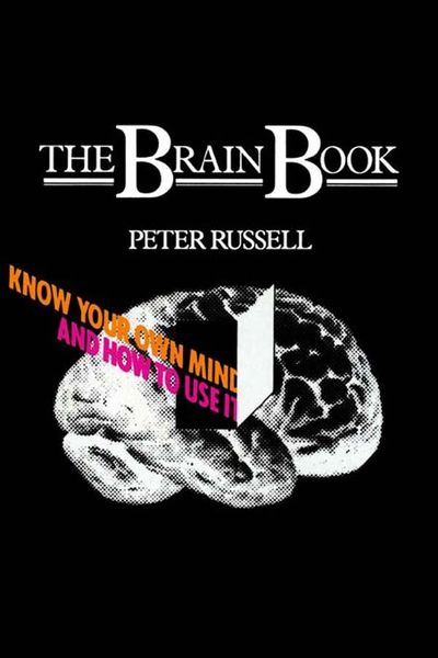 Produktbild: The Brain Book