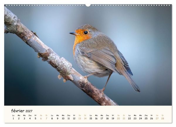 Produktbild: Les murmures de la for&ecirc;t - Regards d'animaux (Calendrier mural 2027 DIN A2 vertical), CALVENDO calendrier mensuel