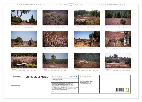Produktbild: L&uuml;neburger Heide (Wandkalender 2026 DIN A2 quer), CALVENDO Monatskalender
