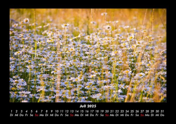 Produktbild: Bilder der Natur 2025 Fotokalender DIN A3