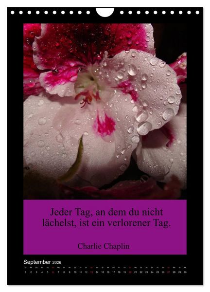 Produktbild: Lebensweisheiten mit Blumigen Gr&uuml;&szlig;en (Wandkalender 2026 DIN A4 hoch), CALVENDO Monatskalender