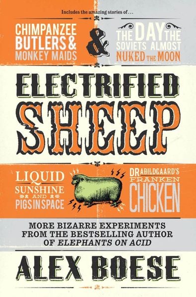 Produktbild: Electrified Sheep