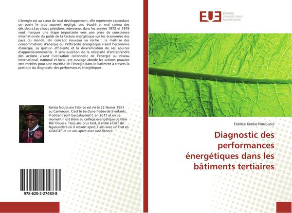 Produktbild: Diagnostic des performances &eacute;nerg&eacute;tiques dans les b&acirc;timents tertiaires
