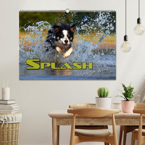 Produktbild: SPLASH - Hunde im Wasser (Wandkalender 2026 DIN A2 quer), CALVENDO Monatskalender