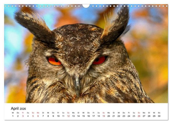 Produktbild: Wilde Tiere unserer Heimat (Wandkalender 2026 DIN A3 quer), CALVENDO Monatskalender