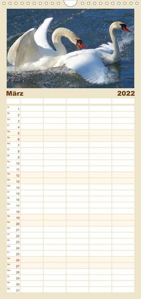 Produktbild: Das faszinierende Leben der Schw&auml;ne - Familienplaner hoch (Wandkalender 2022 , 21 cm x 45 cm, hoch)