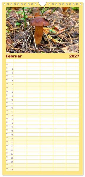 Produktbild: Familienplaner 2027 - Heimische Pilze mit 5 Spalten (Wandkalender, 21 x 45 cm) CALVENDO