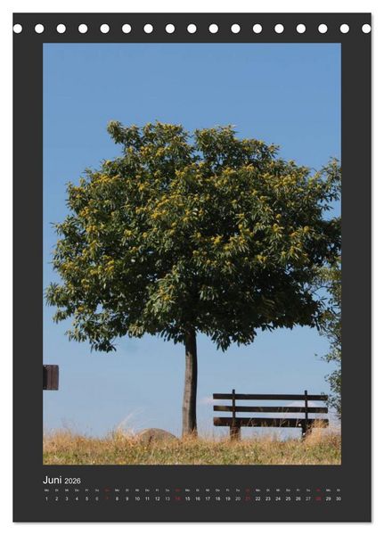 Produktbild: Odenwald - Impressionen einer Landschaft (Tischkalender 2026 DIN A5 hoch), CALVENDO Monatskalender