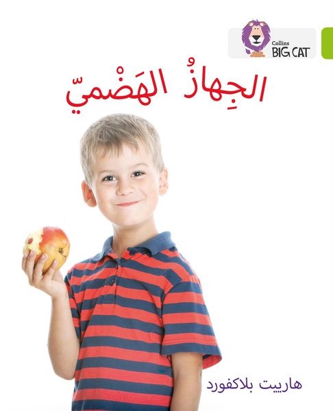 Produktbild: The Digestive System