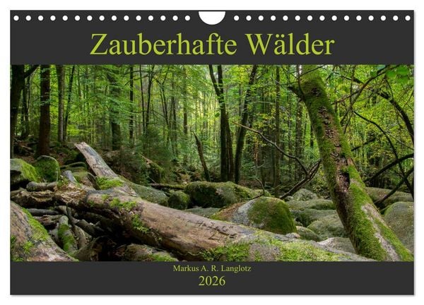 Produktbild: Zauberwelt Wald (Wandkalender 2026 DIN A4 quer), CALVENDO Monatskalender