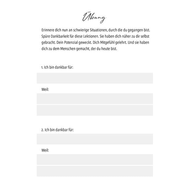 Produktbild: Das Randa-Prinzip