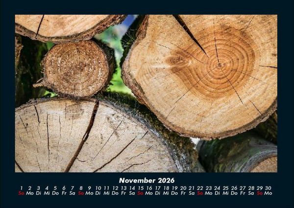 Produktbild: B&auml;ume 2026 Fotokalender DIN A4