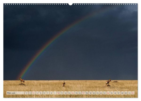 Produktbild: Emotionale Momente: Afrika Wildlife Part 2 / CH-Version (hochwertiger Premium Wandkalender 2026 DIN A2 quer), Kunstdruck in Hochglanz