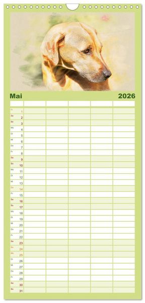 Produktbild: Familienplaner 2026 - Rhodesian Ridgeback 2026 mit 5 Spalten (Wandkalender, 21 x 45 cm) CALVENDO