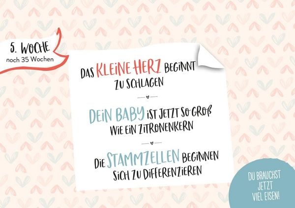 Produktbild: Ein kleines Wunder w&auml;chst heran.
