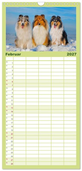 Produktbild: Familienplaner 2027 - Traumhund Collie - Mein bester Freund mit 5 Spalten (Wandkalender, 21 x 45 cm) CALVENDO