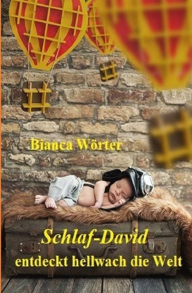 Schlaf-David entdeckt hellwach die Welt, Taschenbuch von Bianca Wörter, Epubli, 9783748524816