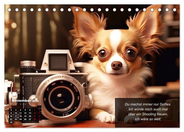 Produktbild: Lustige Chihuahua-Momente (Tischkalender 2026 DIN A5 quer), CALVENDO Monatskalender